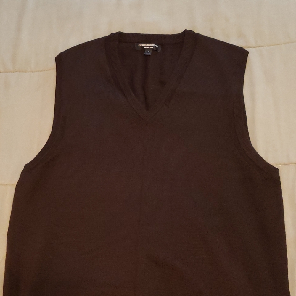 Express merino wool V-neck sweater